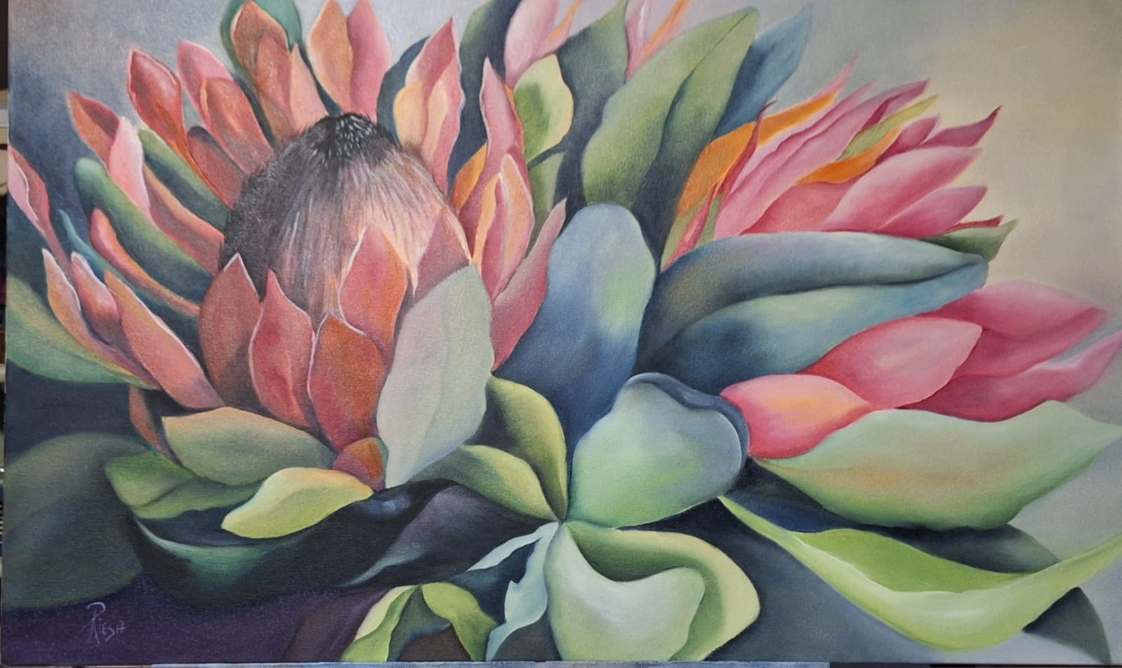 Harmony in Bloom, a king protea painting by Riesa Maree