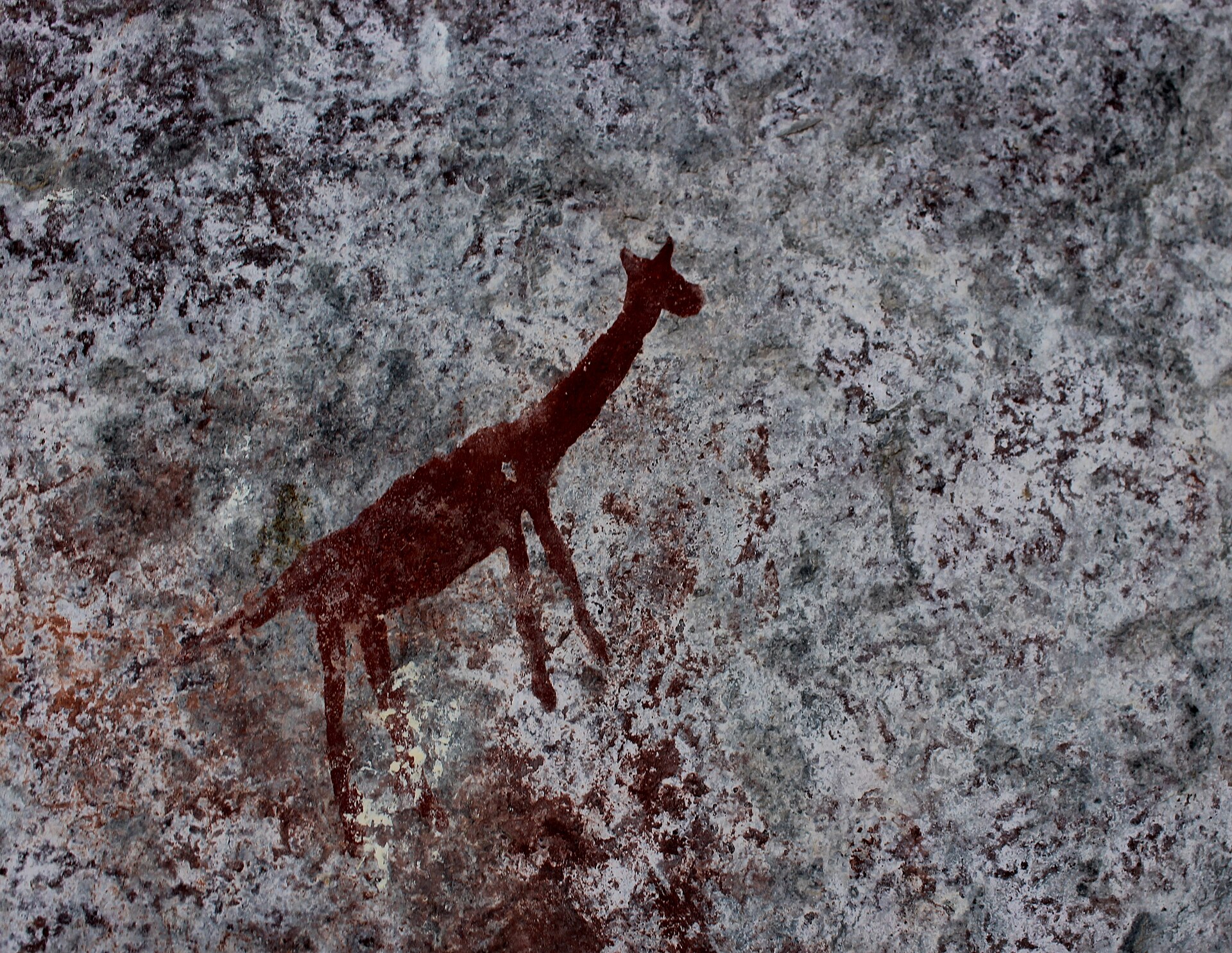 Ancient San rock art of an antelope